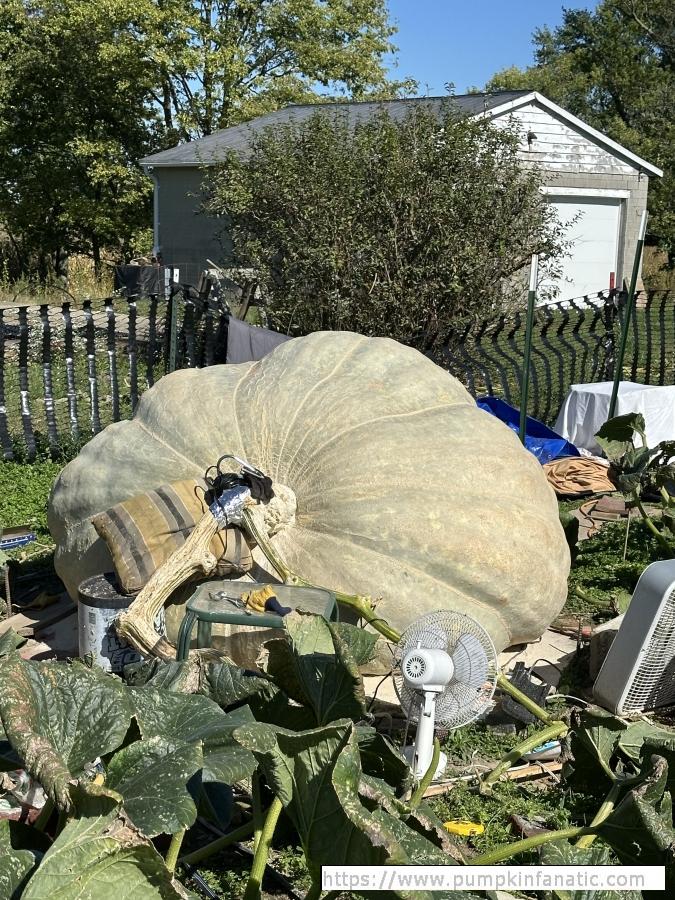Largest Pumpkin in Ohio